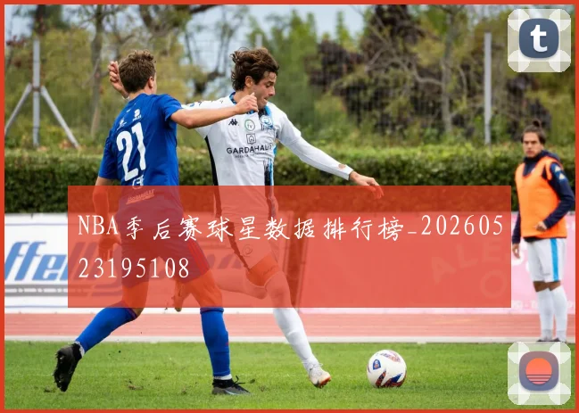NBA季后赛球星数据排行榜_20260523195108
