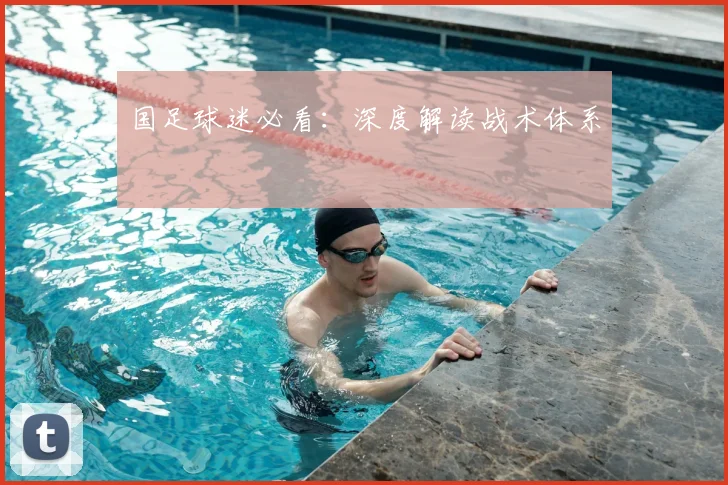 国足球迷必看:深度解读战术体系