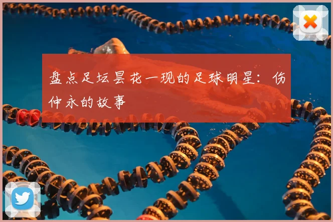 盘点足坛昙花一现的足球明星：伤仲永的故事